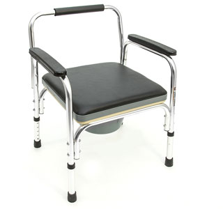 Кресло с саноснащением FS 895 L